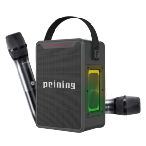 CAIXA PEINING 150W PEI-SP09