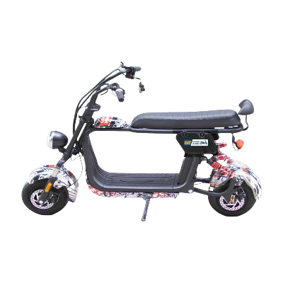 ELECTRIC BICYCLE ST-813