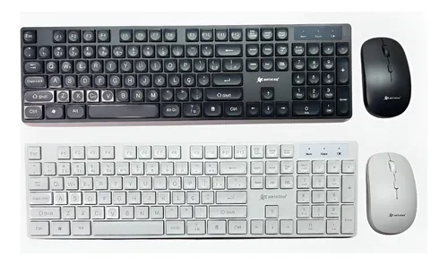 KIT PEINING TECLADO/MOUSE PEI-FR-3022