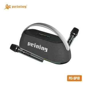 CAIXA PEINING 2 MICROFONE PEI-SP10