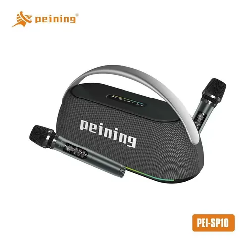 CAIXA PEINING 2 MICROFONE PEI-SP10