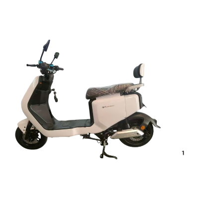 ELECTRIC BICYCLE Q8-B