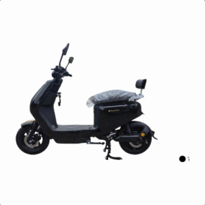ELECTRIC BICYCLE Q8-P