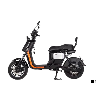 ELECTRIC BICYCLE X8-P