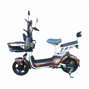 ELECTRIC BICYCLE M10-M