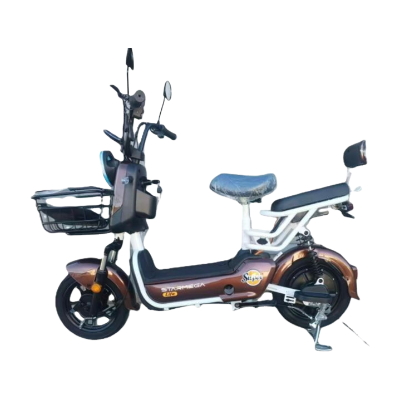 ELECTRIC BICYCLE M10-M