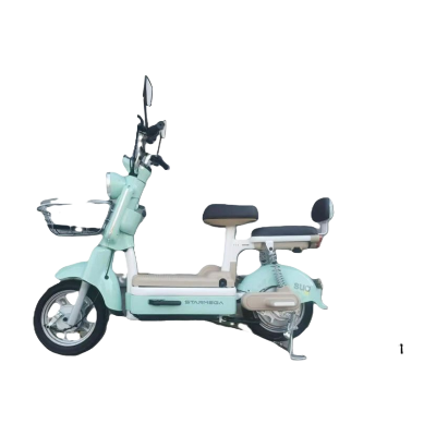 BICICLETA ELÉTRICA M10-G