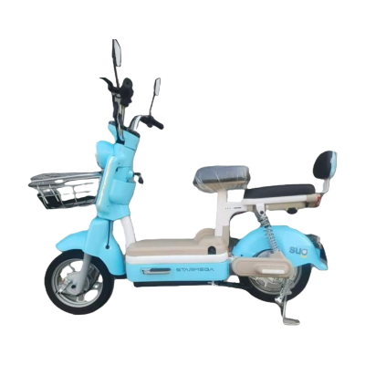 ELECTRIC BICYCLE M10-A