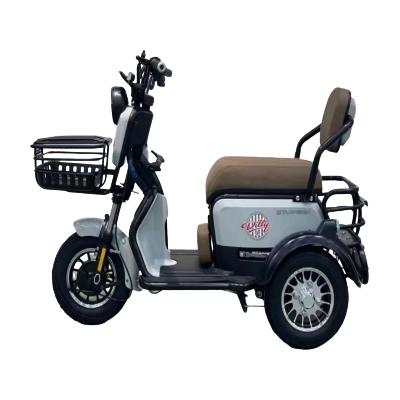 BICICLETA ELÉTRICA MOY-C