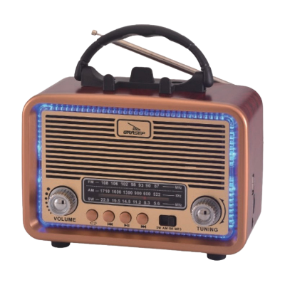 RADIO GRASEP D-F12BT