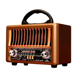 RADIO GRASEP D-F13BT