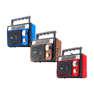 RADIO GRASEP D-1601