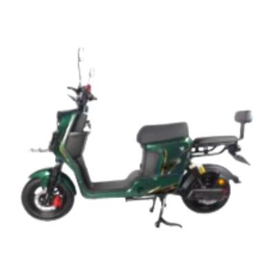 ELECTRIC BICYCLE STARMEGA X900-G
