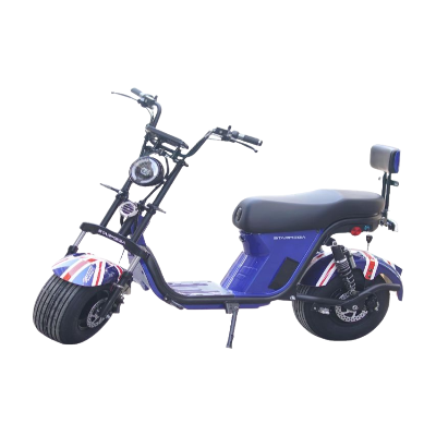 BICICLETA ELÉTRICA-990